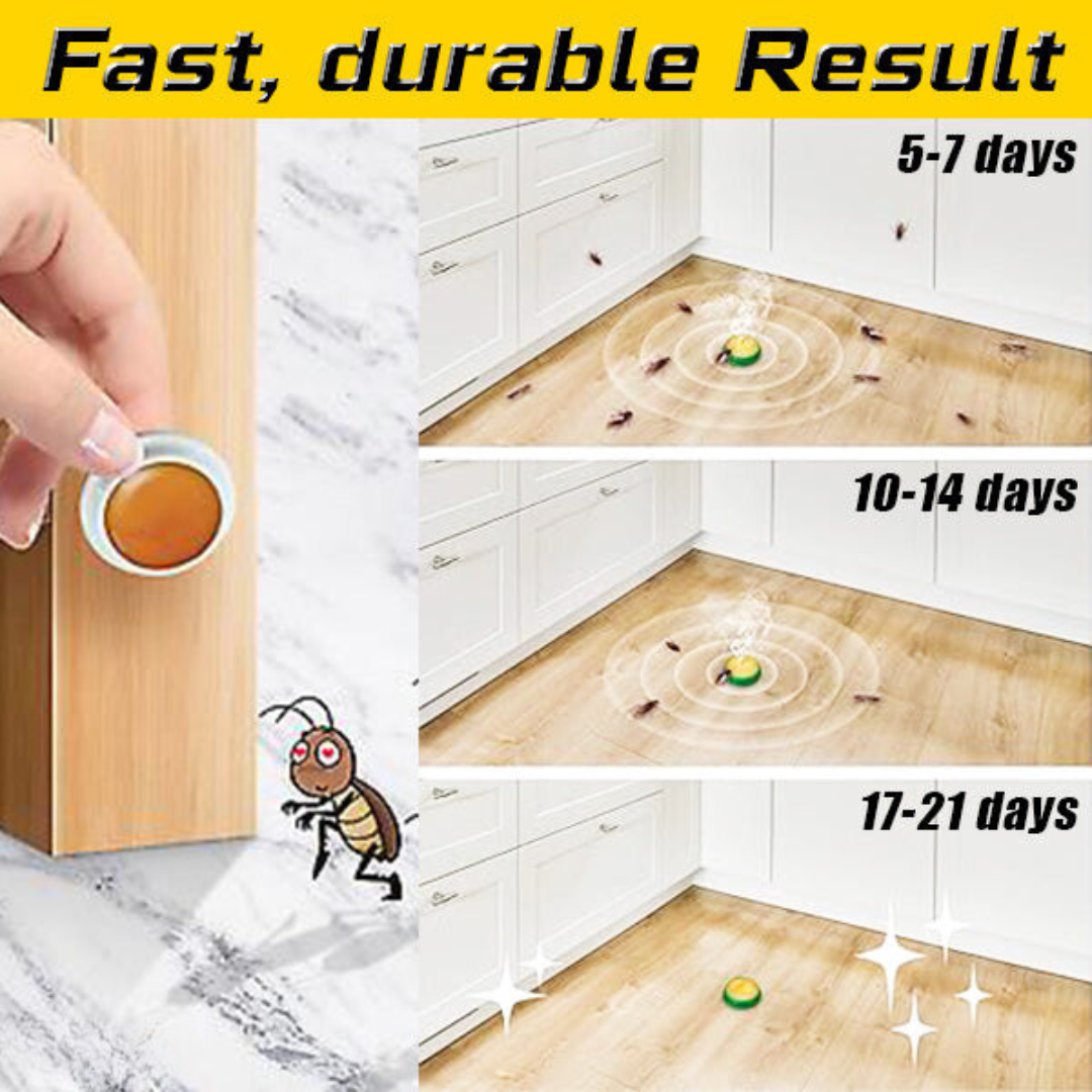 Nástrahová stanica na šváby